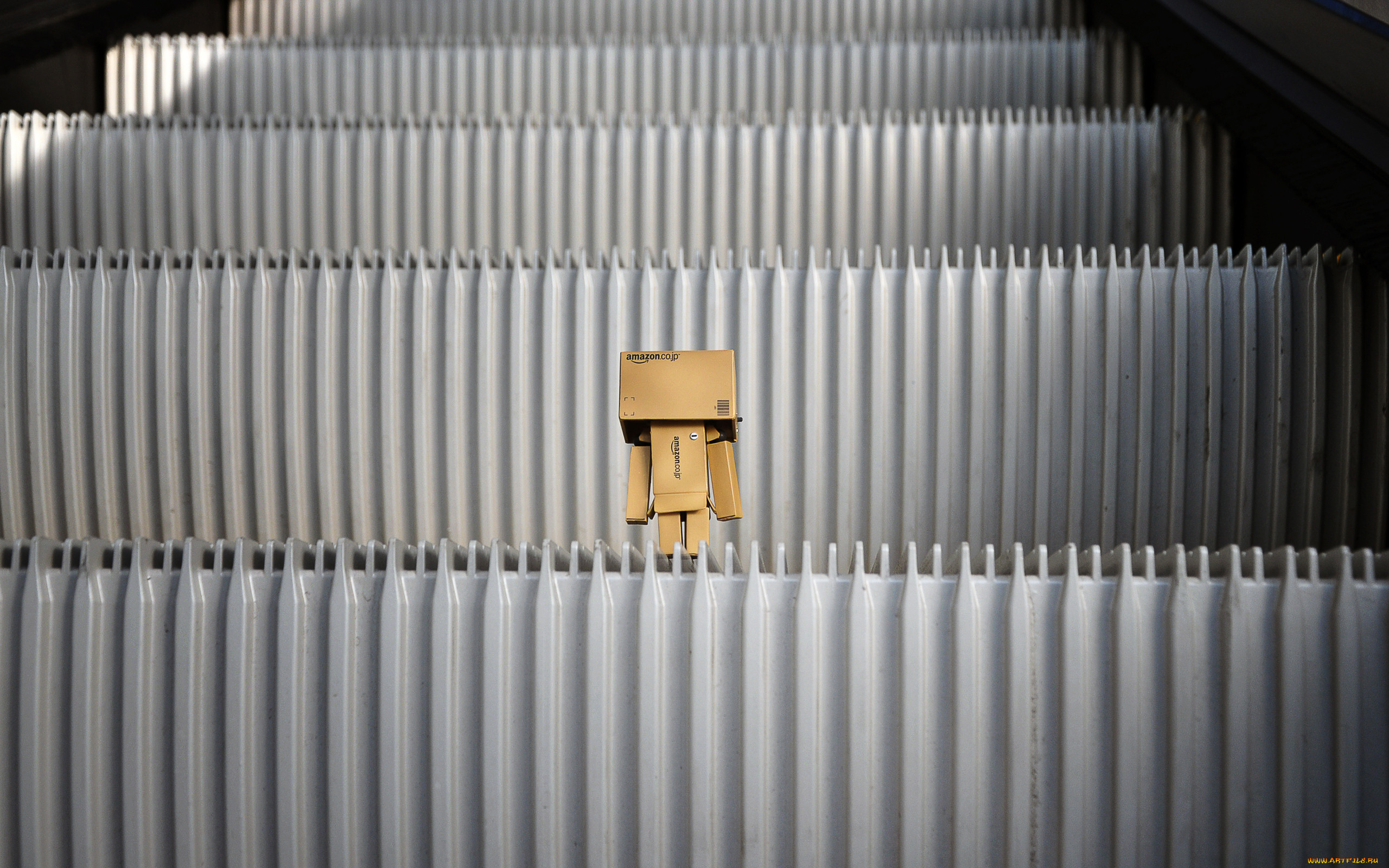 , , danboard